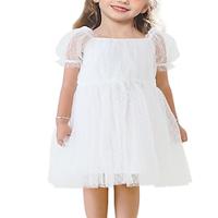 Toddler Girl Flower Gril Princess Dresses Dot Tulle Puff Sleeve Birthday Party Tutu Dress Lightinthebox