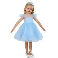 Flower Girl Princess Dresses Birthday Party Ball Gown Lightinthebox