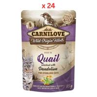 Carnilove Quail Enriched With Dandelion For Sterilized Cats (Wet Food Pouches) 24x85g