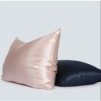 100% Mulberry Silk Pillowcase for Hair and Skin Health,Soft and Smooth Luxury Silk Pillow Cover,Double Side 19 Momme Natural Silk Pillow Case Envelope Closure ,1pc Lightinthebox - thumbnail