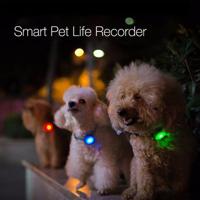 Original Xiaomi Smart Dog Anti Lost Safety Light Pets Collar - thumbnail