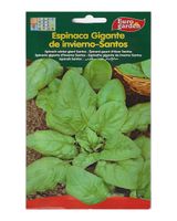 Euro Garden Spinach Seeds - thumbnail