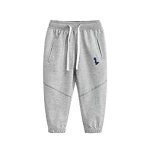Kids Boys' Pants 1 PC Blue Wine Light gray Dinosaur Solid Colored Logo Embroidered Basic Streetwear Maxi 2-8 Years miniinthebox