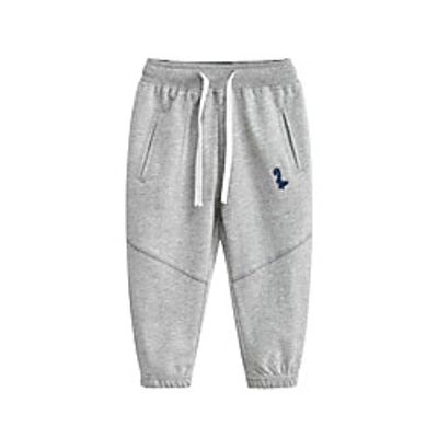 Kids Boys' Pants 1 PC Blue Wine Light gray Dinosaur Solid Colored Logo Embroidered Basic Streetwear Maxi 2-8 Years miniinthebox