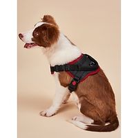 Dog Cat Harness Mesh Harness Foldable Vest Adjustable Flexible Durable Escape Proof Safety Portable Safety Sports Adjustable Outdoor Walking Camouflage Solid Colored Polyester Small Dog Medium Dog Lightinthebox - thumbnail