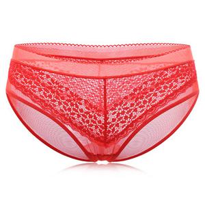 Sexy See Through Mesh Breathable Panties