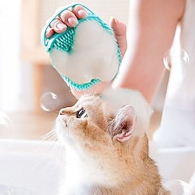 Dog Cat Accessories Solid Colored Fashion Cute Holiday Casual  Daily Dog Clothes Puppy Clothes Dog Outfits Soft Green Yellow Costume for Girl and Boy Dog Waterproof Material One-Size Lightinthebox