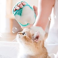 Dog Cat Accessories Solid Colored Fashion Cute Holiday Casual  Daily Dog Clothes Puppy Clothes Dog Outfits Soft Green Yellow Costume for Girl and Boy Dog Waterproof Material One-Size Lightinthebox - thumbnail