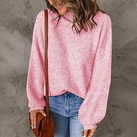 Women's Pullover Sweater jumper Jumper Ribbed Knit Knitted Pure Color Turtleneck Stylish Casual Outdoor Daily Winter Fall Blue Pink S M L / Long Sleeve / Holiday / Regular Fit / Going out miniinthebox - thumbnail