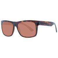 Serengeti Brown Unisex Sunglasses - SE-1044989