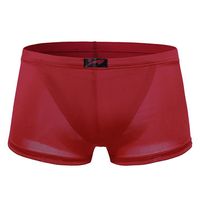 Sexy Casual Low Waist Inside Pouch Breathable Ice Silk Arrow Pants Boxers for Men
