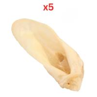 Redbarn Lamb Ears Pack of 5 Redbarn Lamb Ears Pack of 5