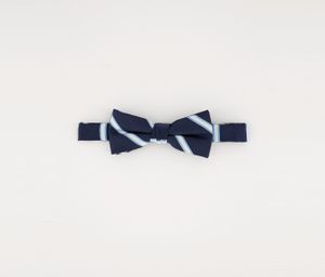 Boys Repp Stripe Bow Tie  Navy Combo