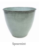 Robert Allen Sheridan 8 inch Pot Spearmint
