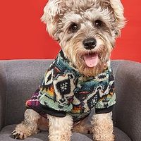 Plush Thickened Warm Hoodie With Ethnic Style Holiday Sports Outdoor Leisure Pattern Printing Lightinthebox - thumbnail