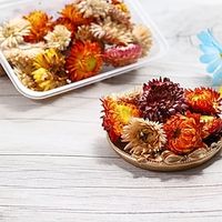 1pcs Valentine's Day Dried Flower Eternal Flower Drop Glue Filled Flower Material Mini Embossing Material Dried Flower. miniinthebox - thumbnail