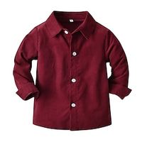 Toddler Boys' Shirt Formal Casual Long Sleeve Wine Solid Color Button Cotton School Party  Cool Top 1-5 Years miniinthebox - thumbnail