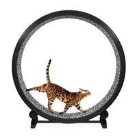 One Fast Cat Exercise Wheel 6th Generation For Cat - Snow Leopard