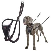 Company Of Animals Halti No Pull Harness Medium