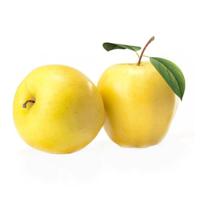 Fit Fresh Apple Golden