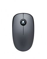 Trands Wireless Mouse MU304