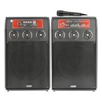 Olsenmark Professional Speaker System-(Black)-(OMMS1111)