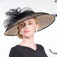 Hats Flax Bowler / Cloche Hat Sun Hat Sinamay Hat Wedding Tea Party Elegant Wedding With Lace Side Tulle Headpiece Headwear Lightinthebox