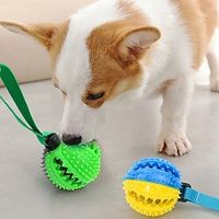 Pet TPR circle cotton rope beaded toy pet dog toy bite resistant teething stick dog pet supplies miniinthebox Pet TPR circle cotton rope beaded toy pet dog toy bite resistant teething stick dog pet supplies miniinthebox