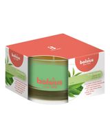 Bolsius True Scents Green Tea Candle in Glass Scented Small Bolsius True Scents Green Tea Candle in Glass Scented Small