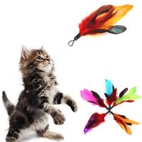 5PCS Pet Cat Feather Teaser Refills For Da Bird Wand Teaser Natural Long Kitten Replacement