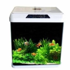 Oblong Aquarium Tank R230 (Color May Vary)