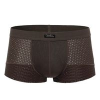 Mesh Hollows Breathable Boxers