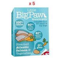 Little Big Paw Dog Salmon & Vegetable Dinner -150g (Pack Of 5)