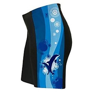 dancing dolphins cycling shorts for women - size 2xl Lightinthebox