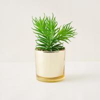 Artificial Plant with Pot