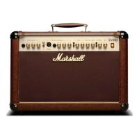 Marshall AS50D Acoustic Combo Amp