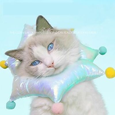 Inflatable Dog Cone Collar for Large Medium Small Dogs, Soft Cone Collar for Dogs Cats, E Collar Dog Neck Donut Dog Cone Alternative After Surgery miniinthebox