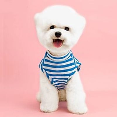Dog Cat Shirt / T-Shirt Dog Clothes Puppy Clothes Dog Outfits Warm Black Blue Red Costume for Girl and Boy Dog Cotton L XL 2XL 3XL 4XL 5XL miniinthebox