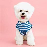 Dog Cat Shirt / T-Shirt Dog Clothes Puppy Clothes Dog Outfits Warm Black Blue Red Costume for Girl and Boy Dog Cotton L XL 2XL 3XL 4XL 5XL miniinthebox - thumbnail