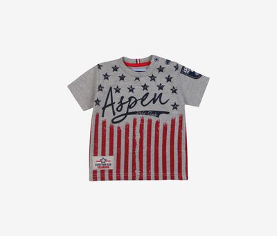 Toddlers Boys Graphic Print T-Shirt Grey Melange Toddlers Boys Graphic Print T-Shirt Grey Melange