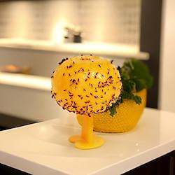 Fruit Fly Balls Insect Trap Sticky Trap Gnats Bug Ball With Iron WiresFor Indoor Outdoor House Kitchen Plants Lightinthebox