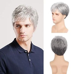 Gray Wigs for Men Synthetic Wig Straight Short Bob Wig Short Silver Grey Synthetic Hair Men'S Cosplay Party Fashion Silver Dark Gray Lightinthebox