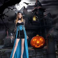 Halloween Sexy Lace Sleeve Dress Costumes