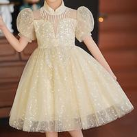 Kids Girls' Party Dress Sequin Short Sleeve Wedding Special Occasion Sequins Tassel Fringe Zipper Adorable Sweet Cotton Polyester Knee-length Party Dress Summer Spring Fall 4-12 Years White Champagne Lightinthebox