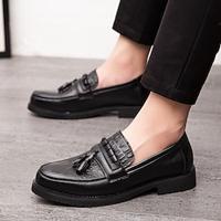 Men's Loafers Slip-Ons Tassel Loafers Walking Casual Daily Microfiber Comfortable Booties / Ankle Boots Loafer Black Spring Lightinthebox