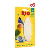 Rio Sepia Shell Medium (Pack Of 8)