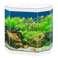 Ciano Aqua 30 Aquarium With White LED Light 40X20X40.2Cm