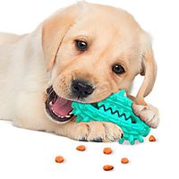 Chew Toy Pet Molar Bite Toy Dog Play Toy Dog 1pc Ball Teething Rope Toy TPR Gift Pet Toy Pet Play miniinthebox - thumbnail