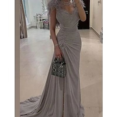 A-Line Evening Gown Elegant Dress Formal Sweep  Brush Train Sleeveless V Neck Stretch Chiffon with Feather Pleats Ruched 2023 Lightinthebox