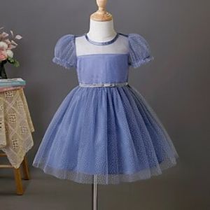 Kids Little Girls' Dress Solid Colored Tulle Dress Party Daily Mesh Blue Knee-length Short Sleeve Princess Cute Dresses Spring Summer Slim 2-8 Years Lightinthebox